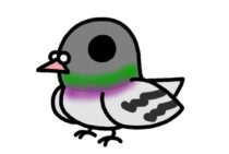 鳩よけに磁石は有効？本当に効果がある鳩よけグッズ3選