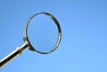 難易度別！【アシナガバチとスズメバチの違い】ハチの見分け方