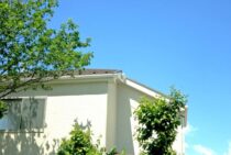 我が家のゴキブリを絶滅させろ！ゴキブリを根絶やしにする4つの戦略