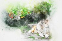 亡くなったペットの毛を遺品として残したい！それっていいの？