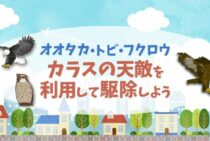 カラスの天敵はいったいなに？駆除に役立つカラスの弱点とは！？