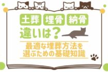 猫の埋葬方法は3つ！土葬と火葬（埋骨・納骨）による埋葬を徹底解説