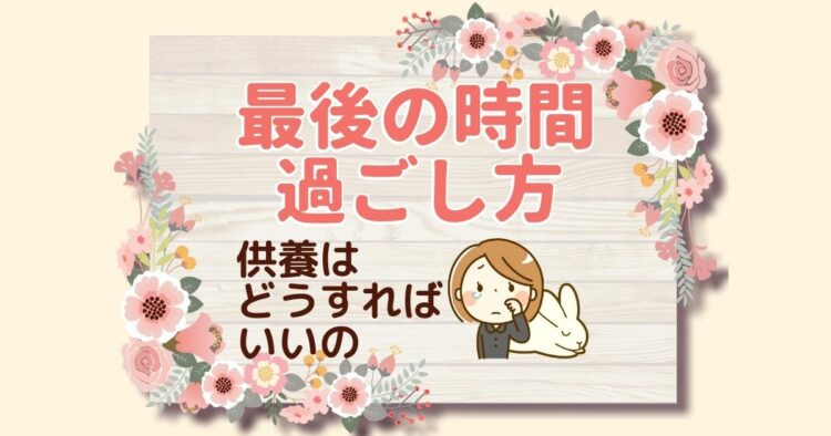 うさぎが死ぬときに向き合う…その死を見送るためにできること