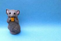 【ねずみの侵入口の探し方】家の要チェック箇所とラットサイン