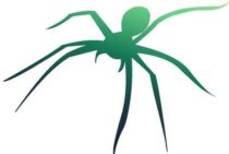 女郎蜘蛛には毒がある？家に女郎蜘蛛の巣ができたらどうすればいい？