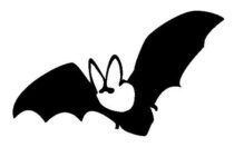 コウモリの寿命はどのくらい？謎の多いコウモリの生態について