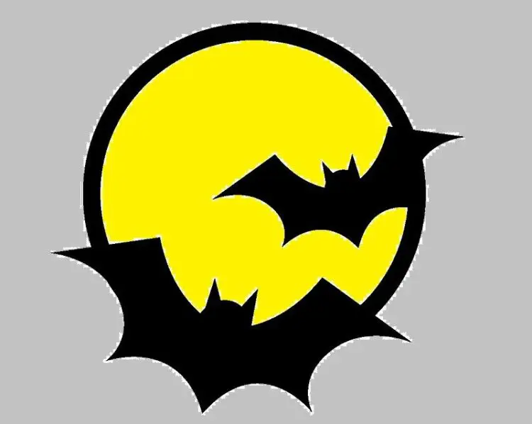 害獣のコウモリは鳥類？それとも哺乳類？その分類と根拠を考える