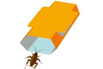 ゴキブリを罠に仕掛けて駆除しましょう！罠の作り方とその注意点