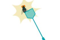 ハエの駆除には何がおすすめ？簡単に作れる罠でハエを一網打尽に！