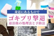 殺虫剤がなくても大丈夫！家にあるものでできるゴキブリ退治と注意点