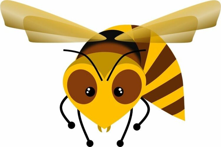 スズメバチの生態とは？冬の間に巣を駆除することは可能？！