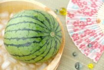 水に弱いはずの畳が洗える⁉防水畳の特徴とその活用法について