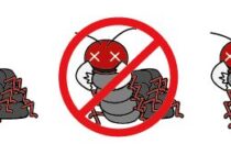 切っても死なない！驚異的なムカデの生命力にも効果的な退治方法とは