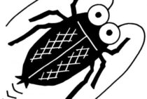 恐怖！ゴキブリには飛ぶ種も…もし飛んできたらどうすればいい？