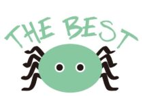 家でよく見る小さい蜘蛛。これってどんな種類なの？害はある？