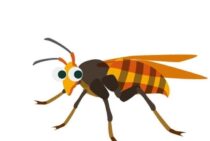 スズメバチのオスは草食系？スズメバチのオスの一生とその役割