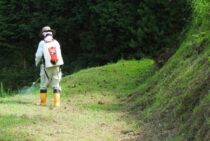 除草剤は安全に気を付けて使おう。除草剤の代わりになるものはある？