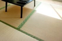 その畳のカビ、取り方を間違えると悪化するかも？正しい掃除方法とは