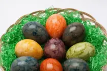 カラスの卵の特徴と雛が生まれるまで！色・大きさ・産卵時期までまとめて解説