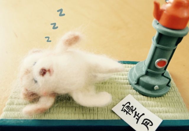 畳の消臭方法3選！においがつく原因や普段からできるお手入れ方法も