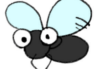 コバエというハエはいない？！コバエの種類と駆除方法について