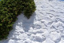 雑草対策に消石灰は使える？消石灰の土壌に対する効果とともに紹介