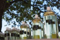 ダニはアルコールで死ぬ？実際の効果と予防に使えるレモンアルコール