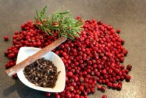 クローブで安心ゴキブリ対策！効果がある理由と使い方を詳しく解説