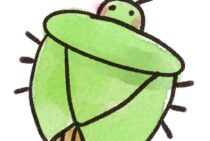 カメムシの活動時期はいつごろ？臭い対策や撃退方法など！