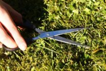 芝生の除草剤5選をご紹介！雑草に効く除草剤選びは時期と効果が大切