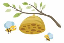 スズメバチが攻撃行動をする範囲は巣の周りだけ？巣を作られない対策