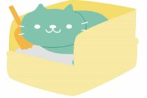 猫臭い家を放置してはいけない！自分でできる猫の消臭対策4選