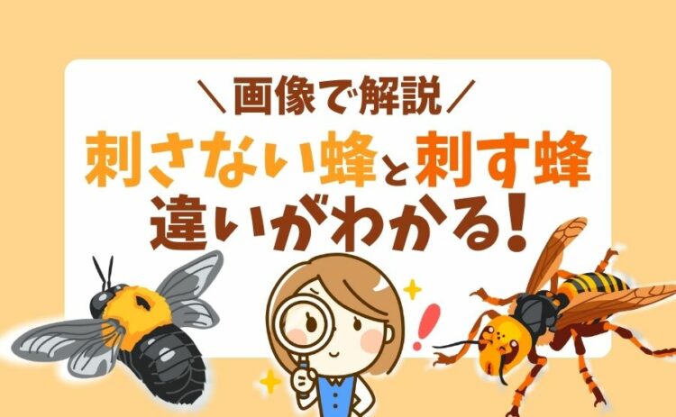 刺さない蜂 アイキャッチ