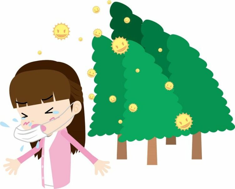 部屋の花粉除去はどうすればいい？効率的に除去するポイントと注意点