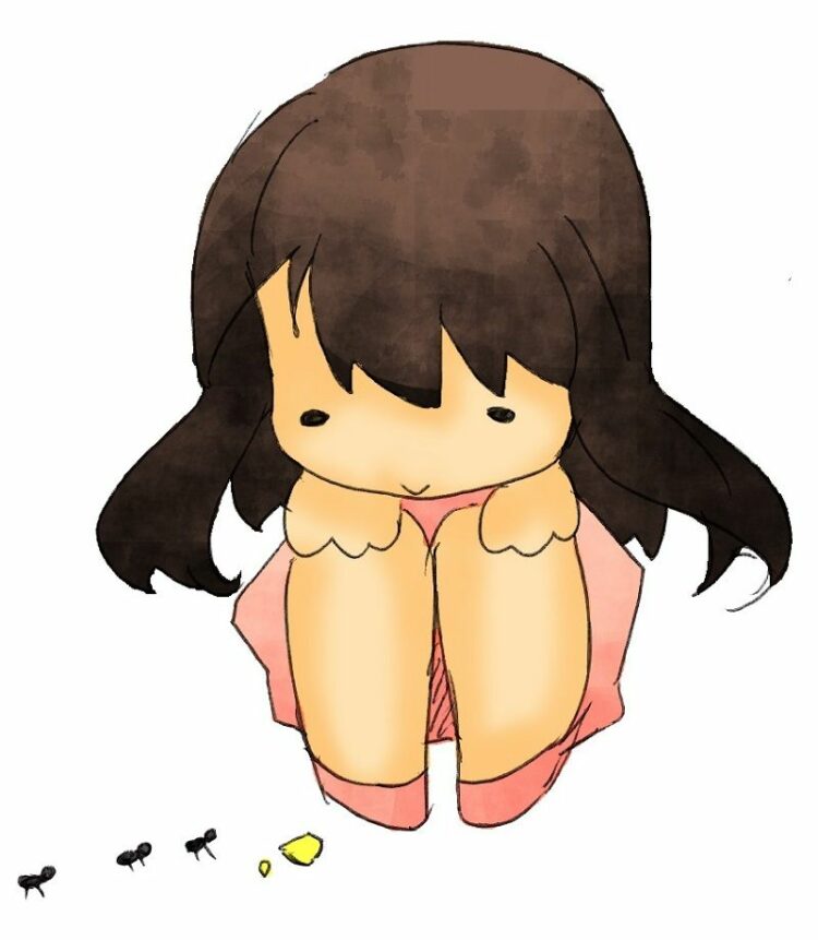 数匹の蟻が行列を呼ぶ。蟻の習性と蟻の行列の対処法について