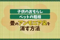 畳のアンモニア臭はとれるの？素材上、自分でできるのか？解説します
