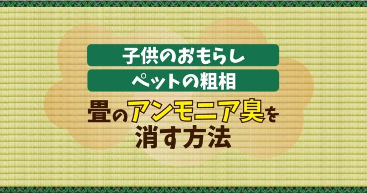 畳のアンモニア臭はとれるの？素材上、自分でできるのか？解説します