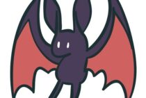 とてもレアなウサギコウモリ！もし見つけたらどうすればいいの？