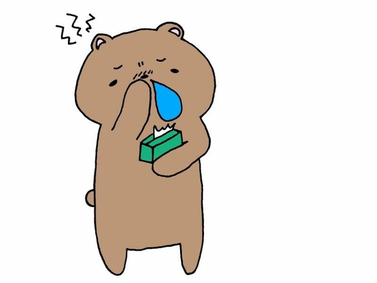 花粉症でも換気をしたい！網戸を使って花粉の侵入を防ぐ方法とは