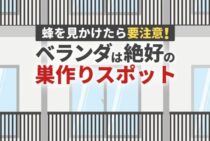 ベランダに蜂の巣ができやすい!?その理由や対策方法をご紹介します！