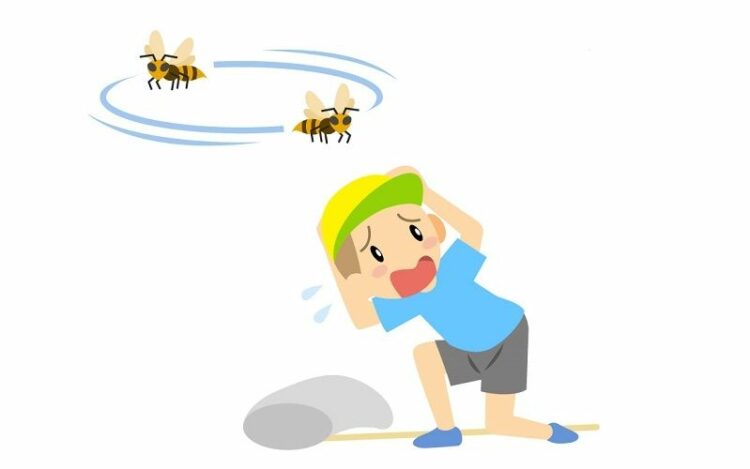蜂に悩む人必見！蜂が寄ってくる原因にはいったい何があるのか