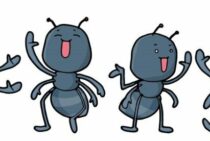 うちにいるアリはもしかしてこれ？イエヒメアリとヒメアリの見分け方