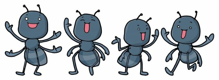 うちにいるアリはもしかしてこれ？イエヒメアリとヒメアリの見分け方