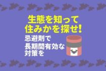 コウモリ対策には忌避剤が最適！自分で退治するときの注意点とは
