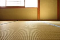 シロアリは畳を食べるって本当？チェック方法とかんたんお手入れ術