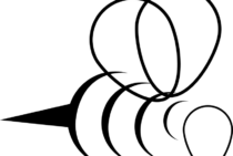 世界的にもスズメバチは最強の蜂！スズメバチに勝てる蜂っているの？