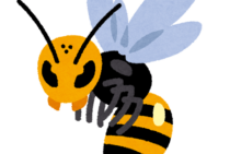 【危険回避】スズメバチから身を守る！今すぐ知ろうハチの生態と特徴