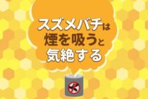 スズメバチ駆除に煙タイプは効果的？おすすめスズメバチグッズとは