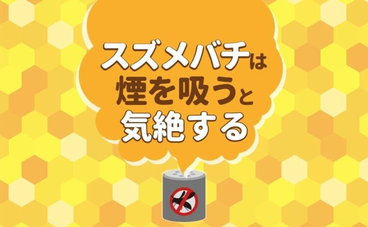 スズメバチは煙を吸うと気絶する