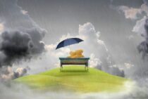 雨漏り診断士は民間資格！雨漏りを繰り返さないための業者選びのコツ